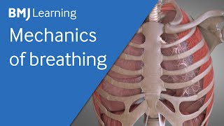 Basics of ventilation Mechanics of breathing  BMJ Learning [upl. by Elora]