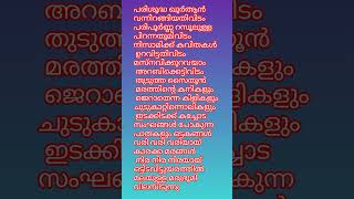 ❤️ mappilappatt songvideo islamicstatus sajarajaleel islamicquotesduetshortsvideo shortsfeed [upl. by Nnylaf]