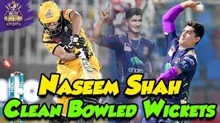 Naseem Shah Magical Fast Balls vs NZ Odi  Indian Media On Naseem Shah Bowling  cricket with Km [upl. by Royd433]