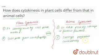 How does cytokinesis in plant cells differ from that in animal cells [upl. by Yerffeg90]