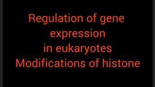 regulation of gene expression in eukaryotes [upl. by Brandea]