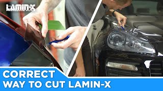 Laminx Correct Way to Cut [upl. by Bruell372]