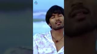 Nenjai Kasakki Video Song  Yaaradi Nee Mohini Songs  Dhanush  Nayanthara  YTShorts [upl. by Scammon325]