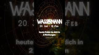 💡 Wassermann Wochenhoroskop Finanzgenie erwacht  4 November 2024 💡 wassermann [upl. by Uba]