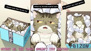 Without Me This Family Wouldnt Stay Together cat shorts animation [upl. by Asen494]