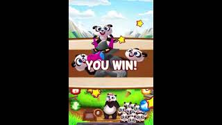 Panda Pop Level 40 What a nice time that it was [upl. by Ytsirhc]