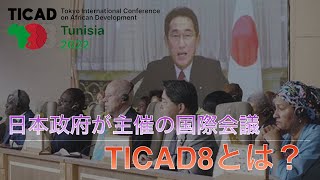 アフリカ開発会議（TICAD）８を簡単にまとめてみました じょに〜の社会科 [upl. by Berns352]