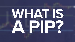 What is a PIP  Forex Explained [upl. by Casie]