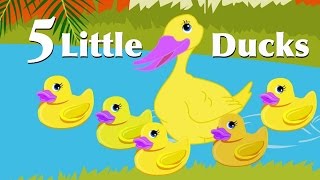 Five Little Ducks  Nursery Rhymes For Kids  CDS Kids Tv [upl. by Alton]