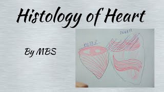 Histology of heart laiq hussain [upl. by Margo]