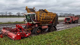 Nothing can stop this Beet Beast  Extreme wet harvest  Agrifac on tracks  W Berkers  Deurne [upl. by Any]