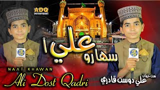 New Sindhi Naat  Peyaro Ali Aa  Naat Khwan Ali Dost Qadri [upl. by Hardunn]