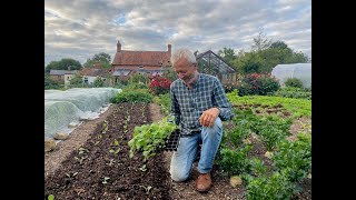 Vegetables for winter and spring harvest sow and plant in early autumn [upl. by Marchelle583]