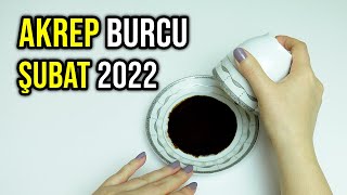 AKREP BURCU ŞUBAT 2022 Aylık Burç Yorumları  Kahve Falı [upl. by Esiahc]