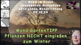 Mond Garten TIPP 1 Pflanzen im Garten nicht eingießen vor dem Winter [upl. by Bently839]