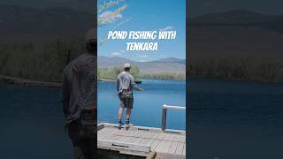 Have you fished a pond with a Tenkara rod flyfishing tenkara [upl. by Pritchard]