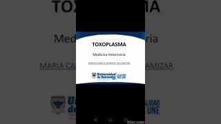 Toxoplasma  Parasitologia Veterinaria [upl. by Annairt]