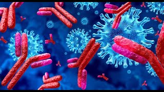 COVID19 and Antibody tests explained IgM and IgG antibodies to Coronavirus [upl. by Dino864]