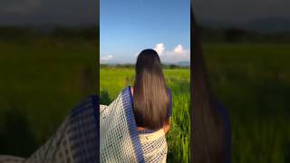 Sokujuri Sai Sai  Bihu song  Assamese New song 2024  assamesesong trnding [upl. by Townshend]