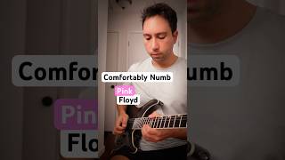 Pink Floyd  Comfortably Numb 1st GUITAR SOLO [upl. by Enyalahs]