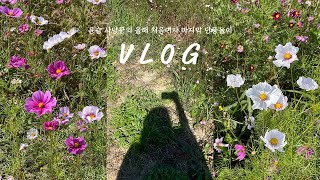 VLOG 윤슬 사냥꾼의 단풍 구경 브이로그  피티썰  뜨개질 [upl. by Naols]