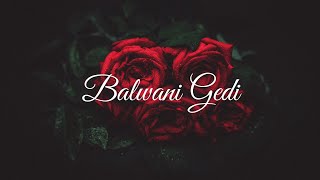 Balwani Gedi song with lyrics [upl. by Mersey815]