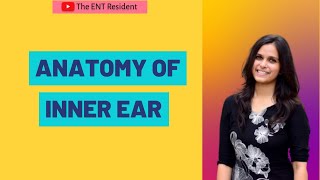 Anatomy of Inner Ear [upl. by Engel236]