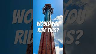 Would u ride falcons fury  Busch Gardens Tampa buschgardens themepark shorts rollercoaster [upl. by Rebeh]