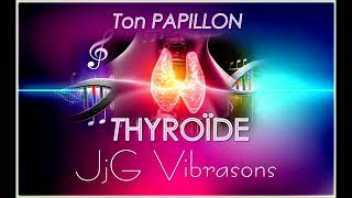 THYROÏDE amp GLANDE PINÉALE la SUPRÊME CHEF DORCHESTRE DES SYMPHONIES HORMONALES  Extrait [upl. by Placeeda207]