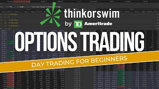 How To Trade OPTIONS On ThinkorSwim  Day Trading For Beginners [upl. by Atsok]