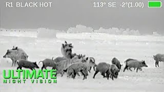 Wild Boar Hunting in Texas  40 Hogs Down with the Armasight Zeus Thermal Scope [upl. by Honna]