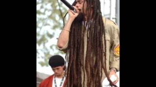 Damian Marley welcome to jamrock [upl. by Redyr]