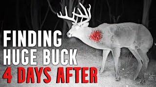 Thermal Drone Finds Big Buck 4 days After Shot￼ [upl. by Lledrev279]