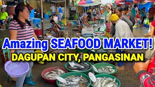 BIGGEST Seafood Market of Pangasinan  DAGUPAN FISH MARKET  PALENGKE  DECEMBER TOUR  PHILIPPINES [upl. by Plerre]