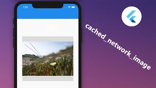 cached network image [upl. by Yaresed261]