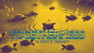 Turtles Instinctively Helping Another In Trouble  Great Sermon Illustration [upl. by Wilkison]