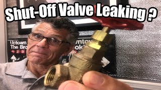 Leaky Shut Off Valve Repair [upl. by Carmelina385]