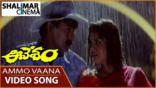 Aavesham Movie  Ammo Vaana Video Song  Rajasekhar Nagma  Shalimarcinema [upl. by Furlong629]