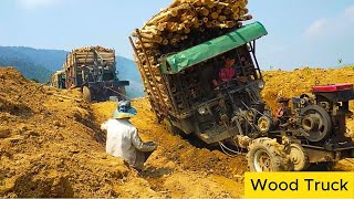 An arduous Journey Transporting Acacia Wood on Dangerous Roads  Wood Truck [upl. by Iknarf]