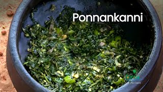 Ponnankanni or Koyipachappu  Tribal Dish  Kerala Culinary Tourism [upl. by Cantone404]