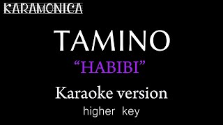 Habibi Karaoke  by Tamino  higher key [upl. by Aisiram]