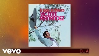 Vicente Fernández  El Arracadas Cover Audio [upl. by Noramac]