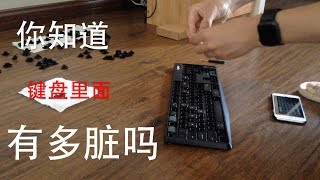 键盘内部很脏怎么办，有洁癖？Logitech罗技K375s键盘一颗一颗拆下清洗 [upl. by Hilliary]