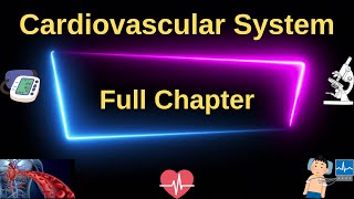 Cardiovascular System Full Anatomy and physiology in one Video  Learn Cardiac System in 2 hours [upl. by Iline287]