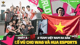 WAG CÂN 3 TEAM THAILAN  2 TOP 1 TẠI VÒNG BẢNG CHUNG KẾT FREE FIRE THẾ GIỚI BRAZILL 2024 [upl. by Erlene]