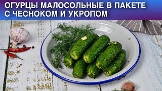 Огурцы малосольные в пакете с чесноком и укропом 🥒 Как приготовить МАЛОСОЛЬНЫЕ ОГУРЦЫ в ПАКЕТЕ [upl. by Naihr]