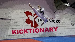 TANG SOO DO Kicktionary 200 Kicks [upl. by Ahseym252]