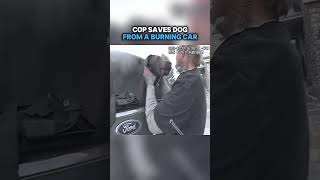 Cop saves dog from a burning car shorts cops [upl. by Corrine]