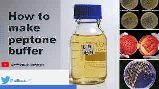 Do you want to make Peptone Buffer  VLOG  20 [upl. by Pascal44]