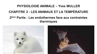 Chapitre 22 Les animaux endothermes face aux contraintes thermiques [upl. by Ailsa685]